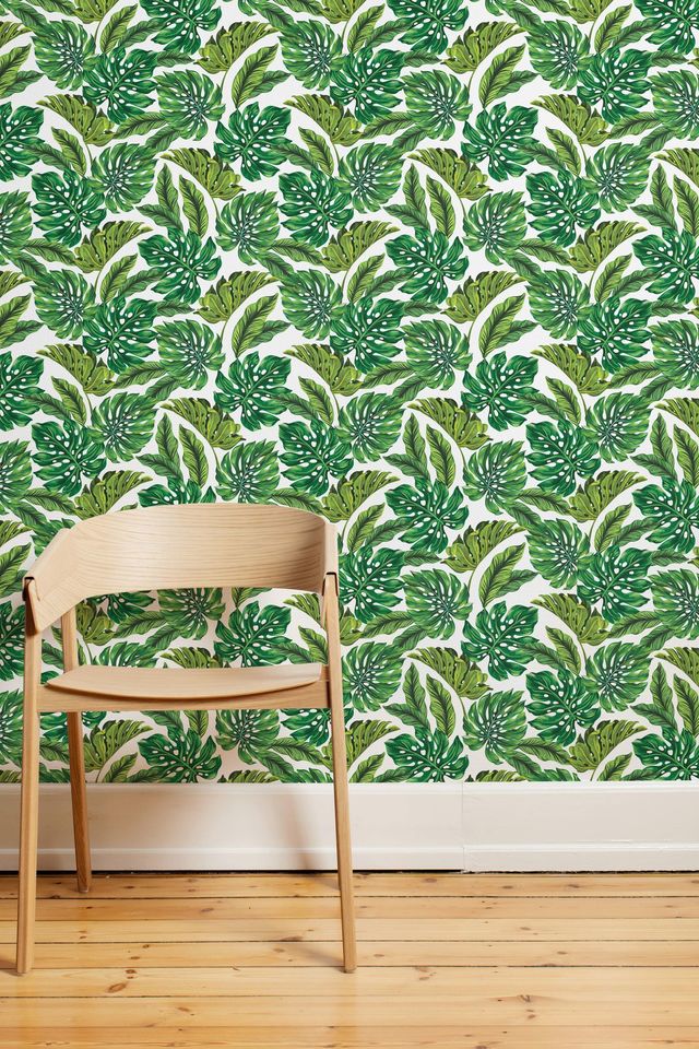 Papier peint adhésif Wallflora avec feuilles de Monstera, deux hauteurs disponibles, 53 x H 122/243 cm, à partir de 34,50 euros, Pitimana.