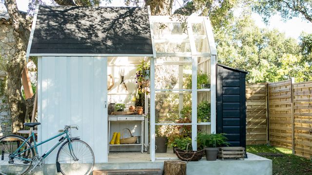 Serres de jardin : offrez un abri à vos plantes