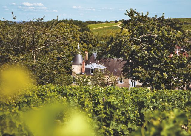 Vue vers le château depuis le coteau et les vignes.